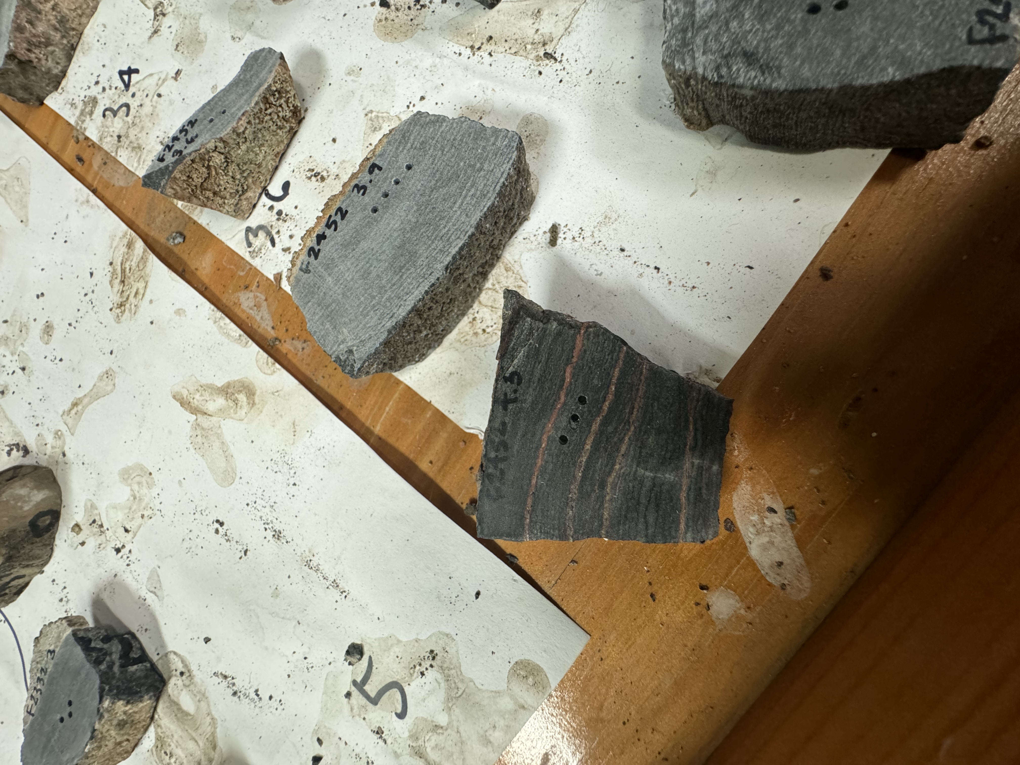 Slab of a microbialaminate